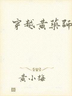 穿越黄药师之子