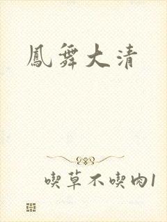 凤舞大清