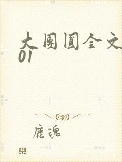 大团圆全文阅读01