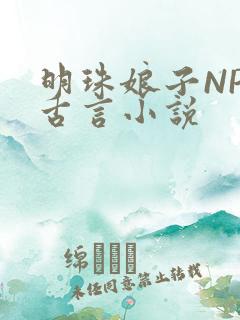 明珠娘子NPC古言小说
