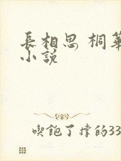 长相思 桐华 小说