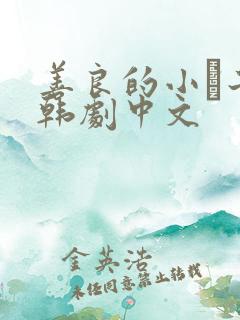 善良的小峓子2韩剧中文