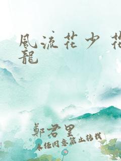 风流花少 花睿龙