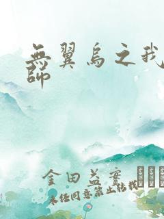 无翼乌之我的教师