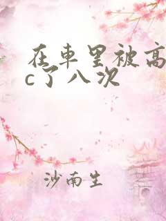 在车里被高潮被c了八次