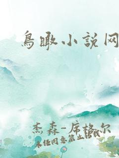 鸟瞰小说网