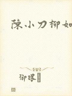 陈小刀柳如意