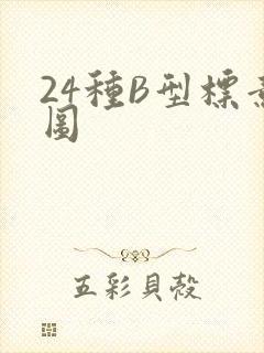 24种B型标意图