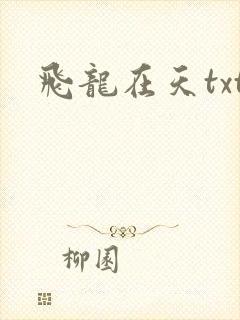 飞龙在天txt