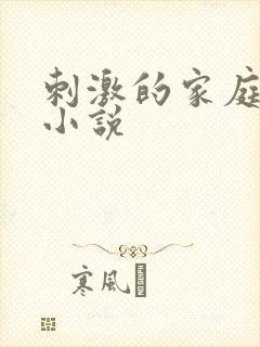 刺激的家庭乱仑小说