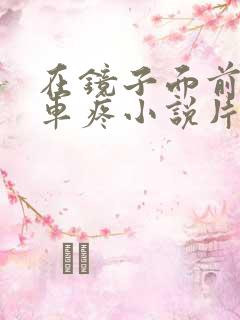 在镜子面前做开车疼小说片段