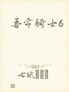吾命骑士6