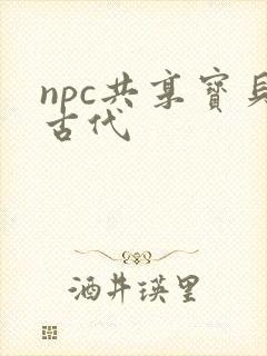 npc共享宝贝古代
