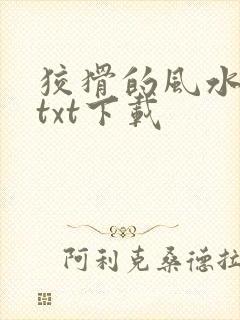 狡猾的风水相师txt下载