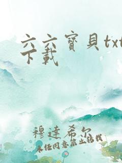 六六宝贝txt下载