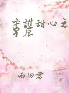 守护甜心之暗夜星辰