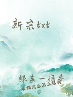 新宋txt