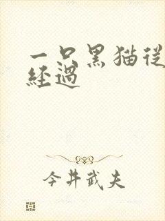 一只黑猫从眼前经过