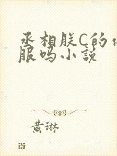丞相朕C的你舒服吗小说
