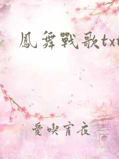 凤舞战歌txt