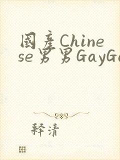 国产Chinese男男GayGayAPP