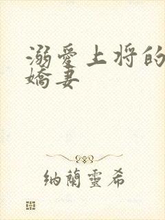 溺爱上将的宝贝娇妻