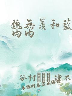 魏无羡和蓝忘机肉肉