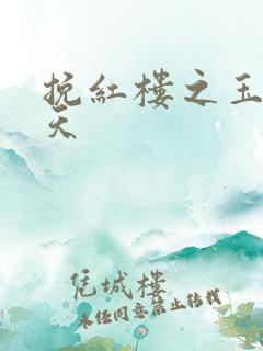 挽红楼之玉舞九天