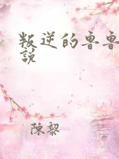 叛逆的鲁鲁修小说