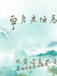 白月光他马甲掉了