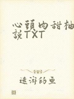 心头肉甜柚子小说TXT