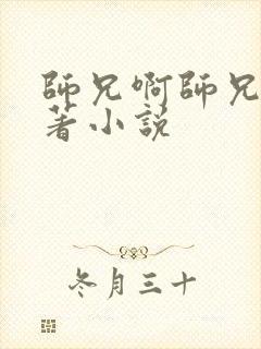 师兄啊师兄的原著小说