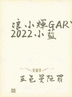 浪小辉GARY2022小蓝