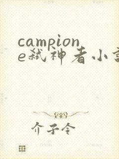 campione弑神者小说