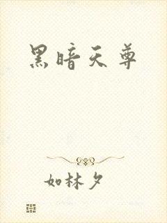 黑暗天尊