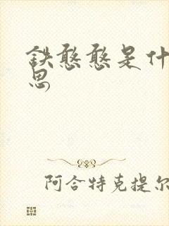 铁憨憨是什么意思