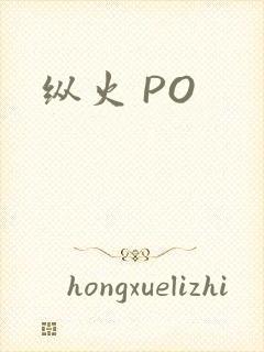 纵火 PO