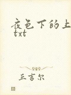 夜色下的上海滩 txt