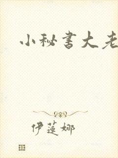小秘书大老婆