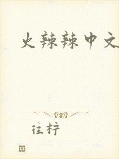 火辣辣中文网