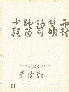 少帅的双面宠妻段茵司明封免费