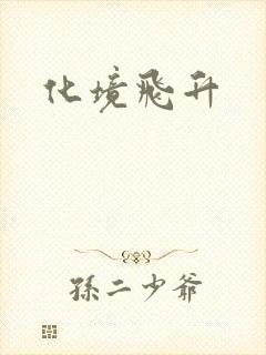 化境飞升