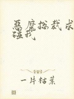 恶魔总裁求你别碰我