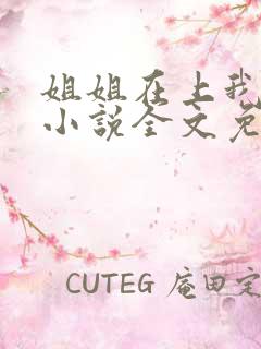 姐姐在上我在下小说全文免费阅读