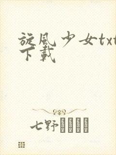 旋风少女txt下载