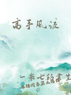 高手风流