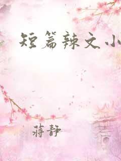 短篇辣文小说