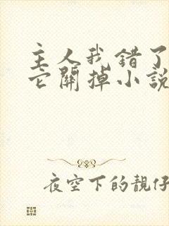 主人我错了请把它关掉小说