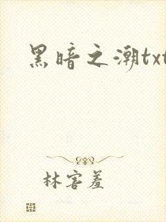 黑暗之潮txt