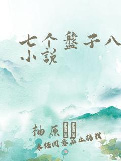 七个盘子八个碗小说